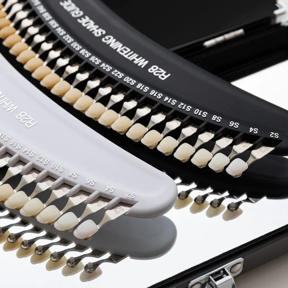 Guía de tonos de dientes 3D profesional con 28 colores - Guía de tonos para blanqueamiento dental - Guía de tonos dentales - Guía de tonos para blanqueamiento dental