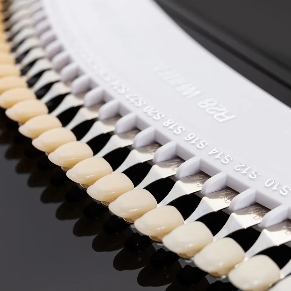 Guía de tonos de dientes 3D profesional con 28 colores - Guía de tonos para blanqueamiento dental - Guía de tonos dentales - Guía de tonos para blanqueamiento dental